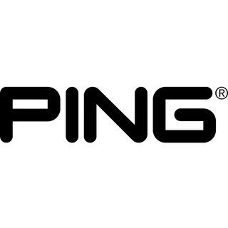 PING MINI